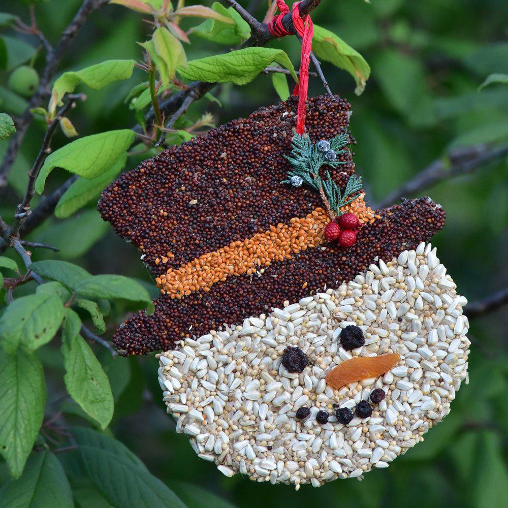 Bird Seed Cookie